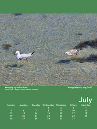 Winged Hearts Calendar 2015