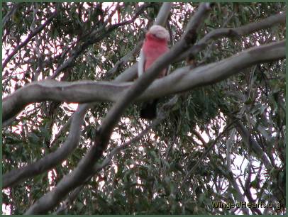 they like us to know this is an important time -