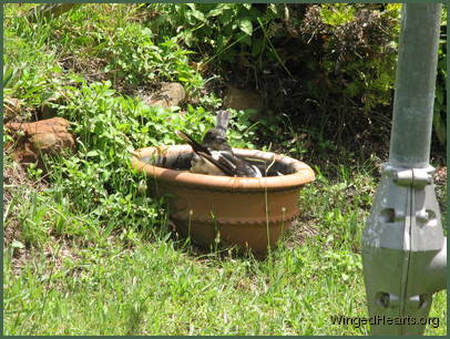 This is fun and easy