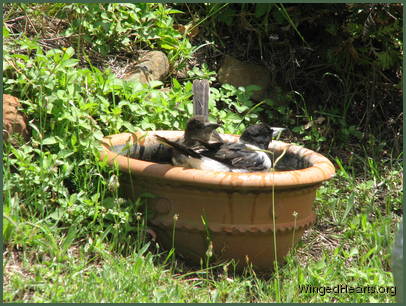 the two of us together